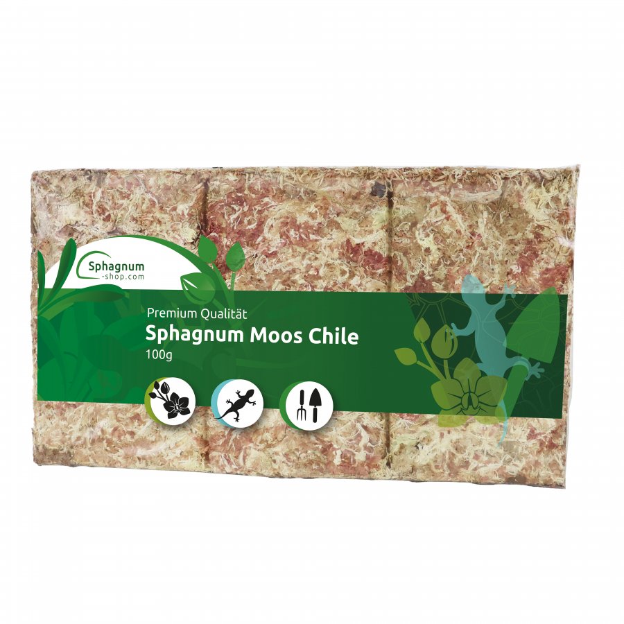 Dried Sphagnum moss brick from Chile 100g